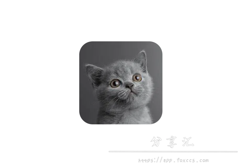 蓝猫KoKo下载器（BlueCatKoKo） v1.2.2 界面简单易用 - 分享汇