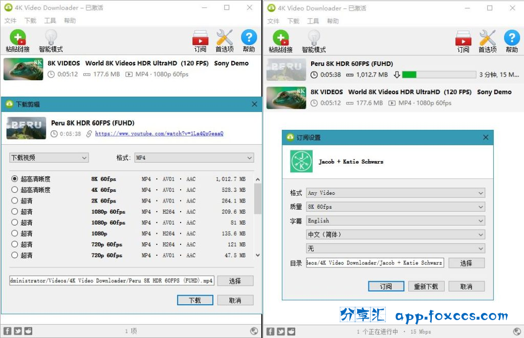 图片[1] - 4K Video Downloader（4K视频下载器） v4.32.3.0112 中文绿色便携版 - 分享汇